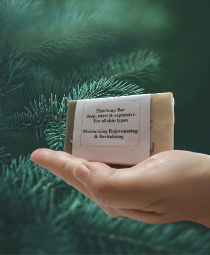 Pino Soap Bar | 4 oz