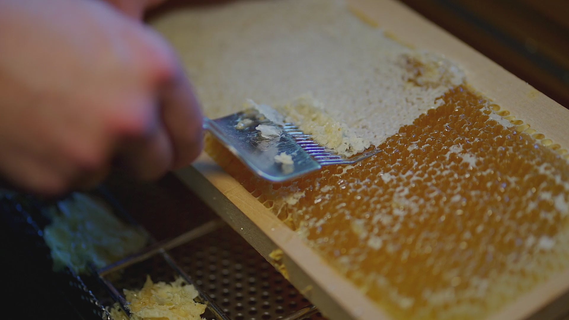 Our lightly filtered beeswax is sweetly aromatic on its own. With this in mind, we have chosen essential oils that blend seamlessly into this luxurious base to create inspiring scents.